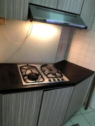 Bayshore Park (D16), Condominium #468937061